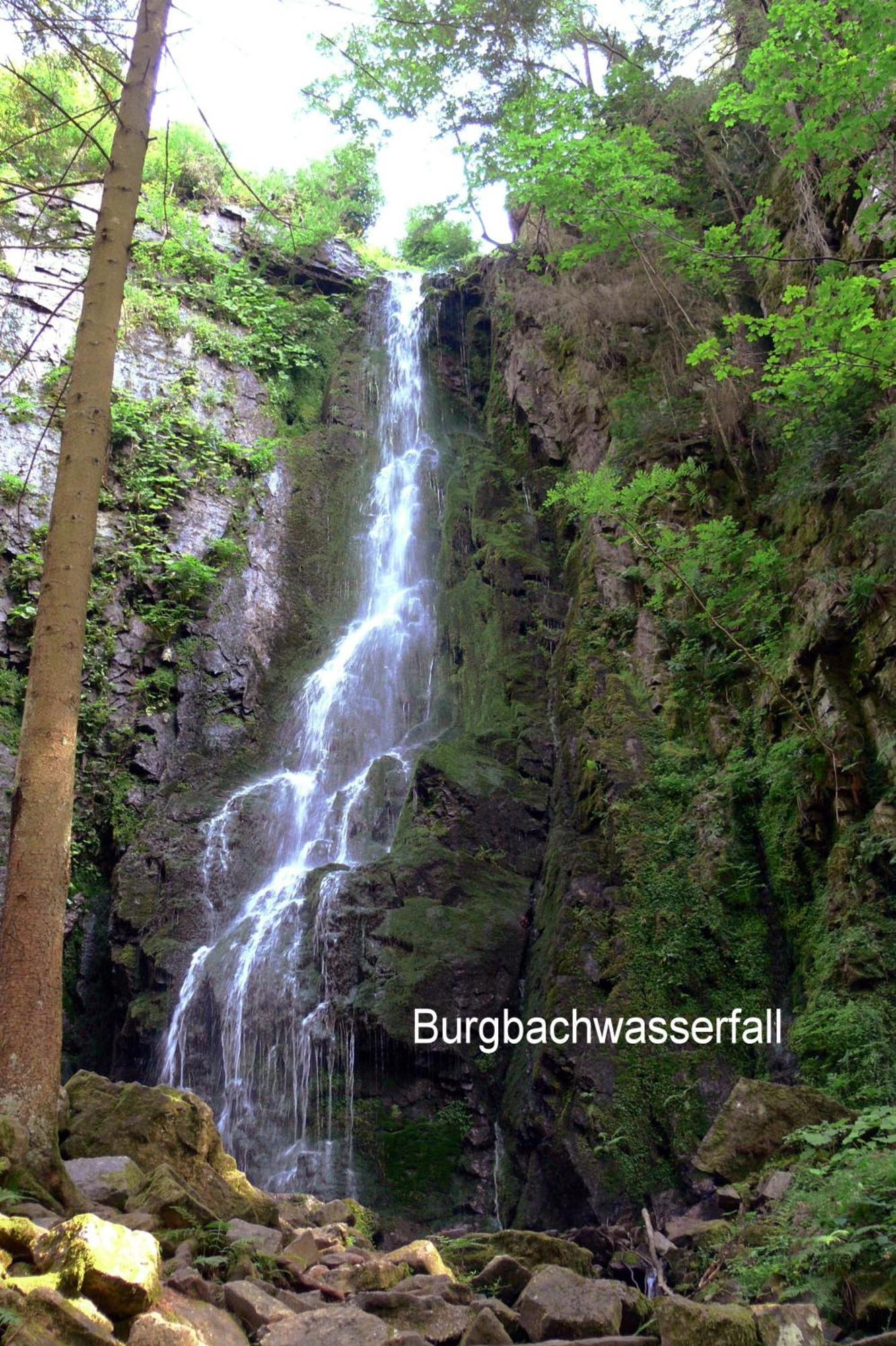 Pension Talblick Baiersbronn Exterior foto