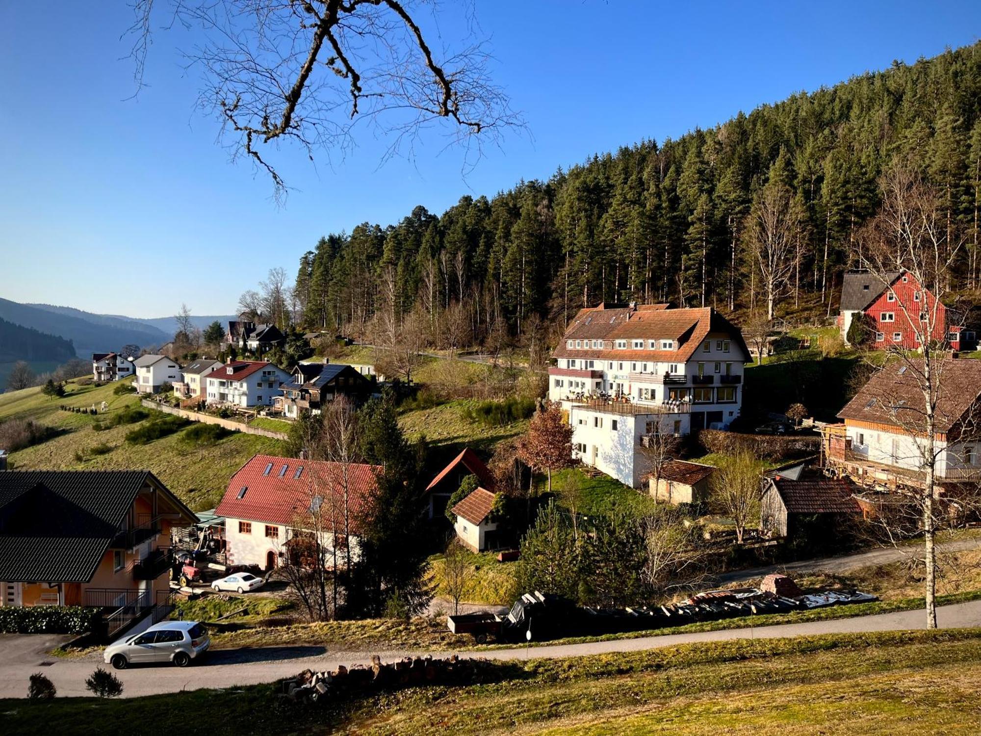 Pension Talblick Baiersbronn Exterior foto