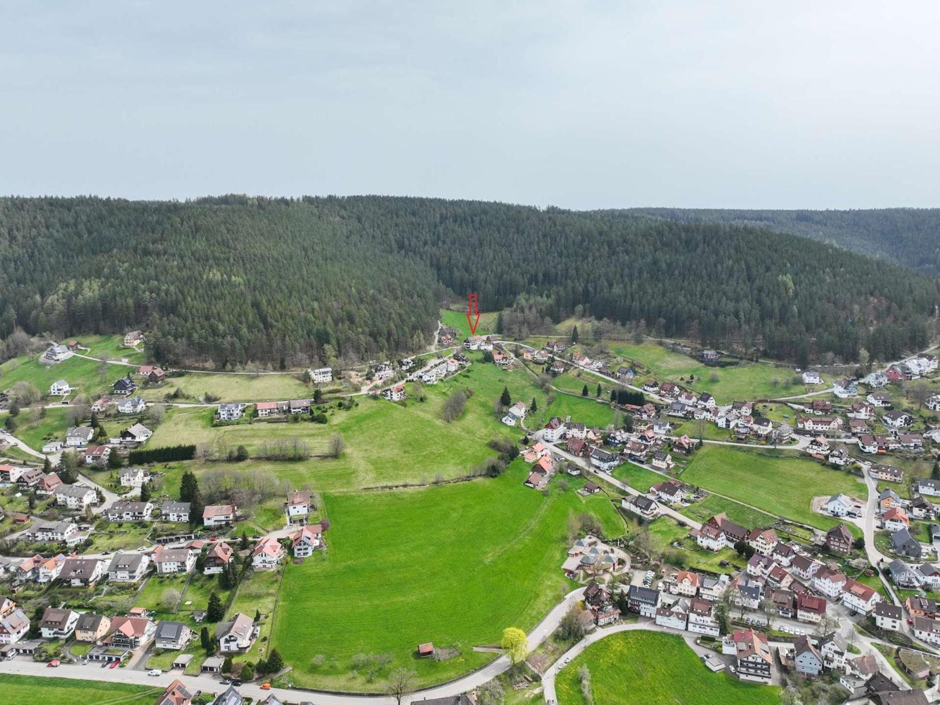 Pension Talblick Baiersbronn Exterior foto